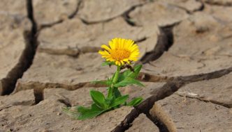Cambio climático: ¿Qué es una estrategia de adaptación y por qué es importante?
