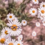 Are all initiatives for Quality Management the same?